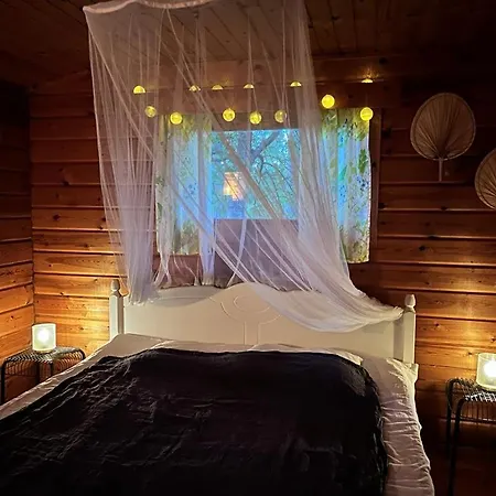 Kyyjaervi And Oy Campsite