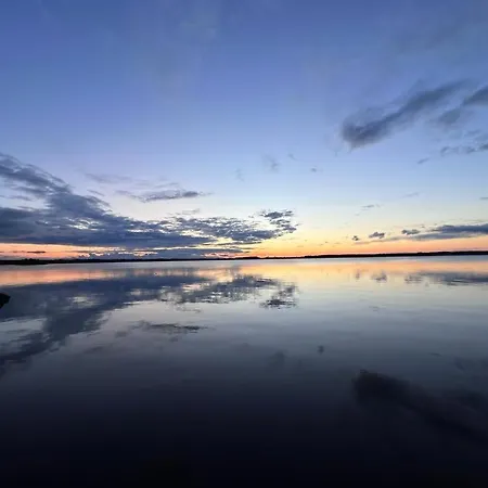 Kyyjärvi And Oy Metsäpelto