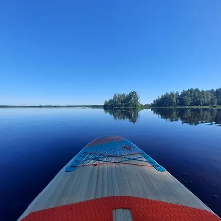 Kyyjaervi And Oy Metsapelto