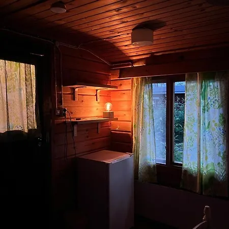 Kyyjärvi And Oy Metsäpelto