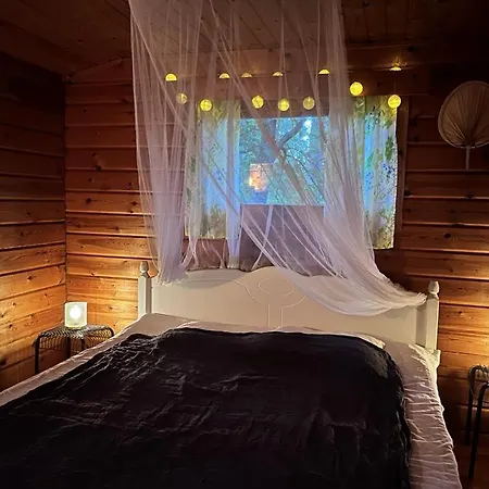 Kyyjärvi And Oy * Metsäpelto