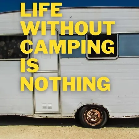 Kyyjärvi And Oy * Metsäpelto