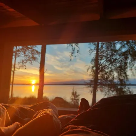 Kyyjärvi And Oy Metsäpelto