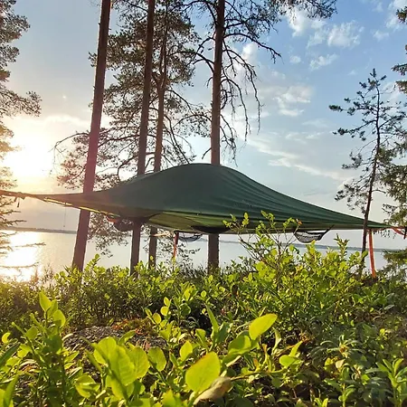 Kyyjaervi And Oy * Metsapelto