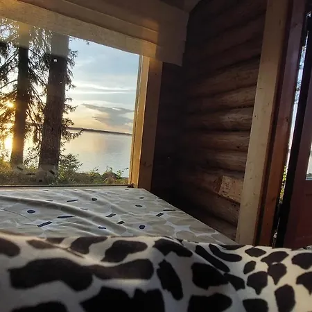 Leirintäalueet Kyyjärvi And Oy