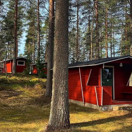 Kyyjärvi And Oy * Metsäpelto