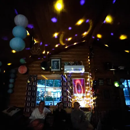 Kyyjärvi And Oy Metsäpelto