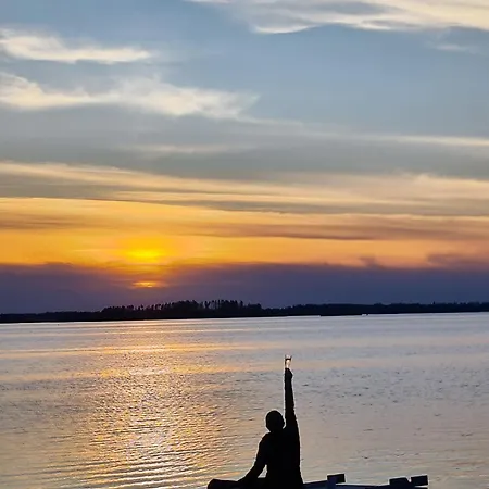 Kyyjärvi And Oy Metsäpelto