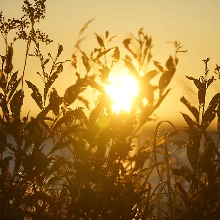 Kyyjaervi And Oy Campsite