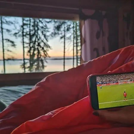 Leirintäalueet Kyyjärvi And Oy Metsäpelto