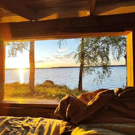 Kyyjärvi And Oy Metsäpelto