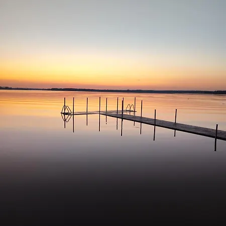 Kyyjärvi And Oy * Metsäpelto