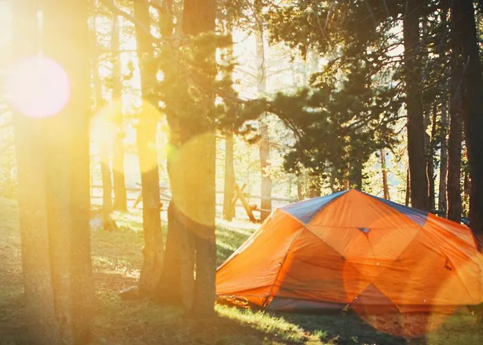 Kyyjaervi And Oy Кемпинг *