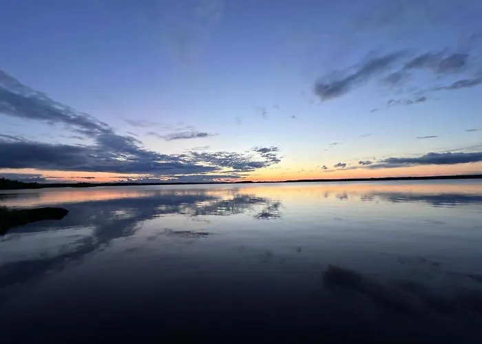 Kyyjaervi And Oy Metsapelto