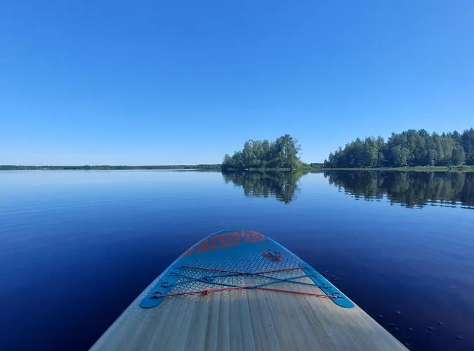 Kyyjaervi And Oy Metsapelto