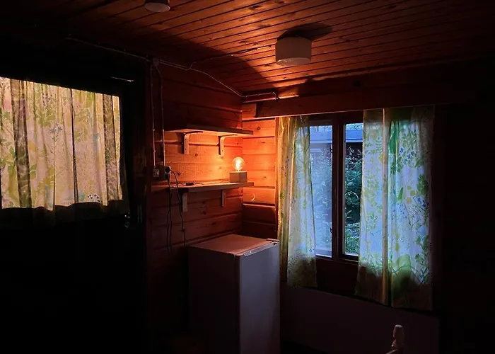 Kyyjaervi And Oy Metsapelto