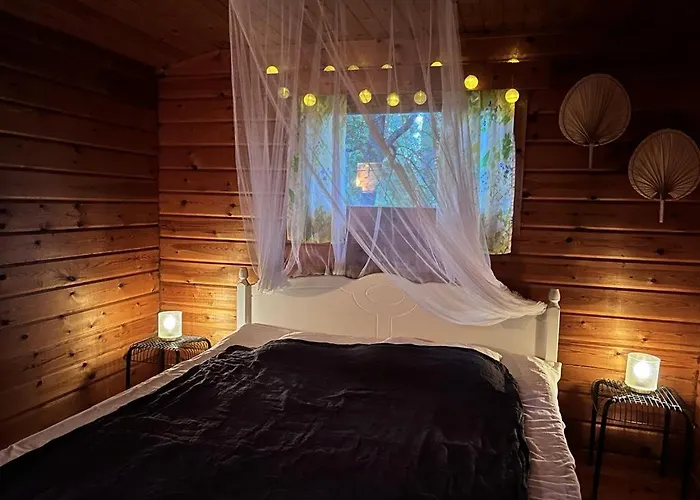 Kyyjaervi And Oy * Metsapelto