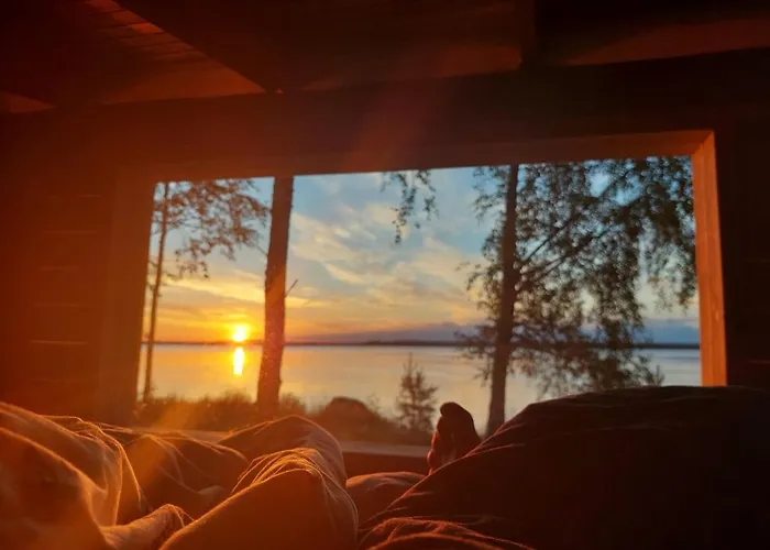 Kyyjaervi And Oy Metsapelto