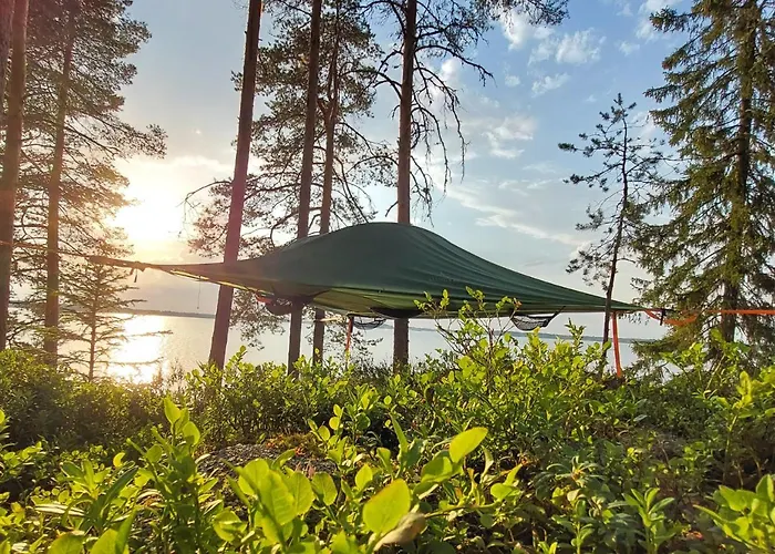 Kyyjaervi And Oy * Metsapelto