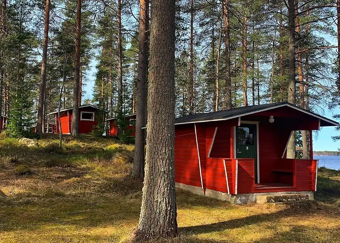 Kyyjaervi And Oy * Metsapelto