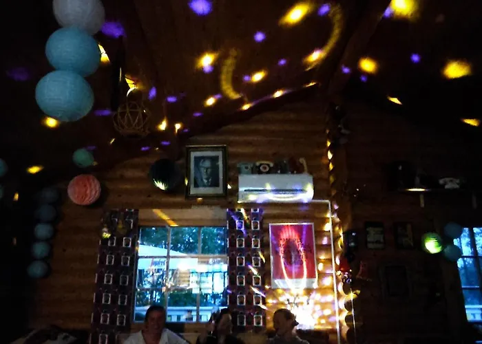 Kyyjaervi And Oy Metsapelto