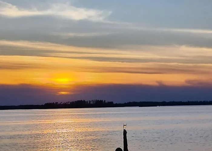 Kyyjaervi And Oy Metsapelto