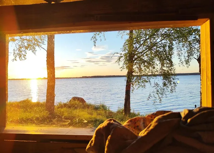 Kyyjaervi And Oy Metsapelto